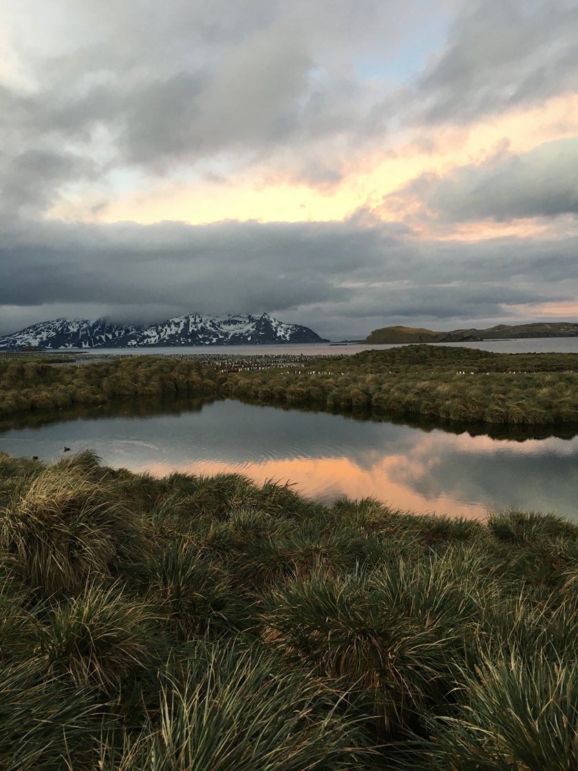A cloudy sunset over mountains and a landscape of grass and water which is reflecting the sunset. 