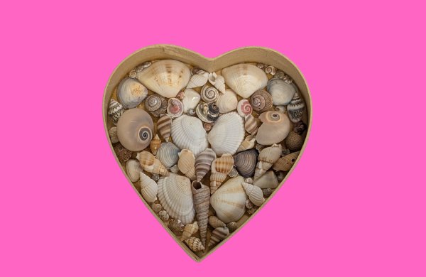 Collection of small shells inside a paper heart craft, set on a pink background.
