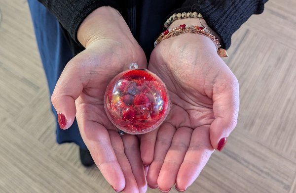 Hands holding a clear ball filled with red materials.