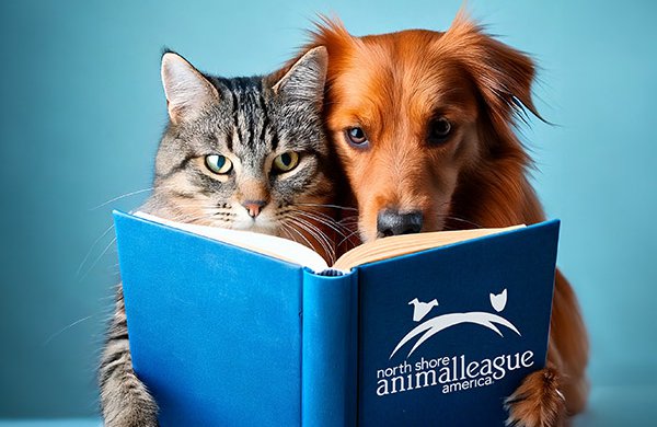 A grey cat and golden retriever dog huddle together reading blue book titled "Northshore Animal League America".
