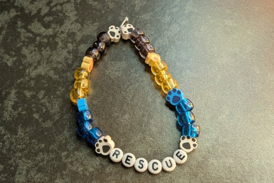 A beaded bracelet with pony, paw-shaped and letter beads spelling rescue. 