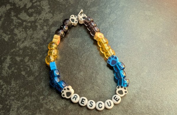 A beaded bracelet with pony, paw-shaped and letter beads spelling rescue. 