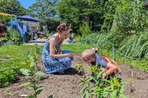 An LICM staff member crouching down while measuring a milkweed plant with a boy standing next to them holding the top of the measuring tape.