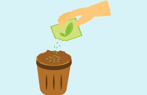 Graphic of a small pot filled with dirt and a hand pouring seeds from a bag into the pot. 