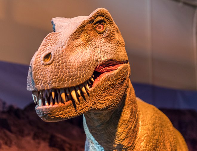 Replica of the head of a T.rex featuring large, sharp teeth, orange eyes, and scale-like skin. 
