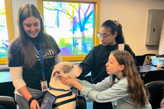 An adult smiling while looking down at a dog wearing a blue vest while two adolescents pet the dog. 