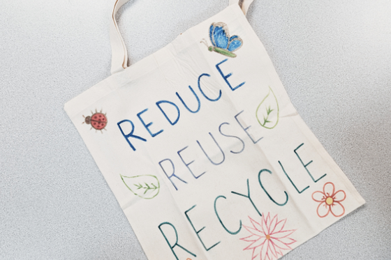A canvas bag decorated with bugs and text "REDUCE, REUSE, RECYCLE." 