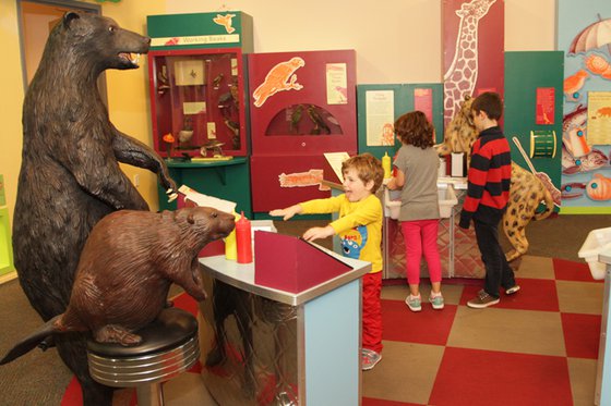 Three children exploring the Feasts for Beasts exhibit. 