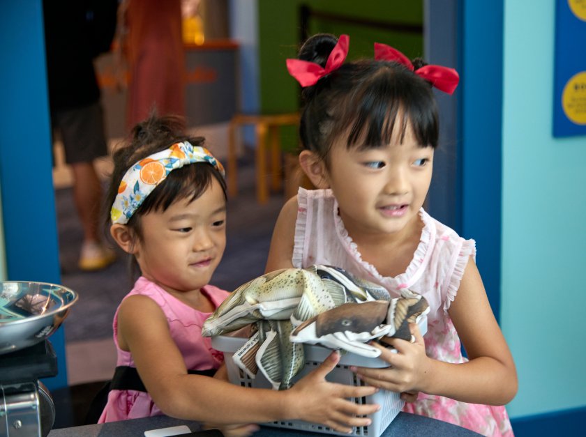 Two girls holding shopping basket filled with fish.