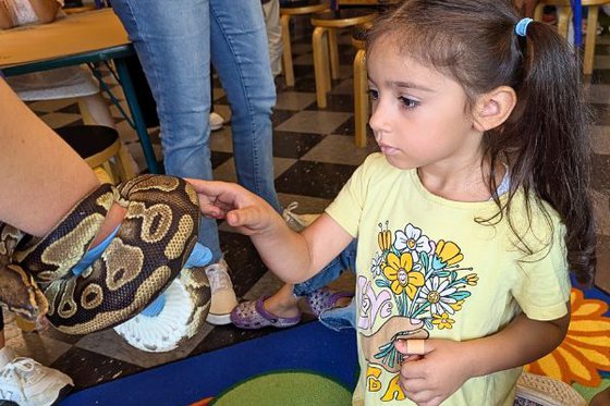 A child petting a ball python wraped around an arm of a LICM staff member. 