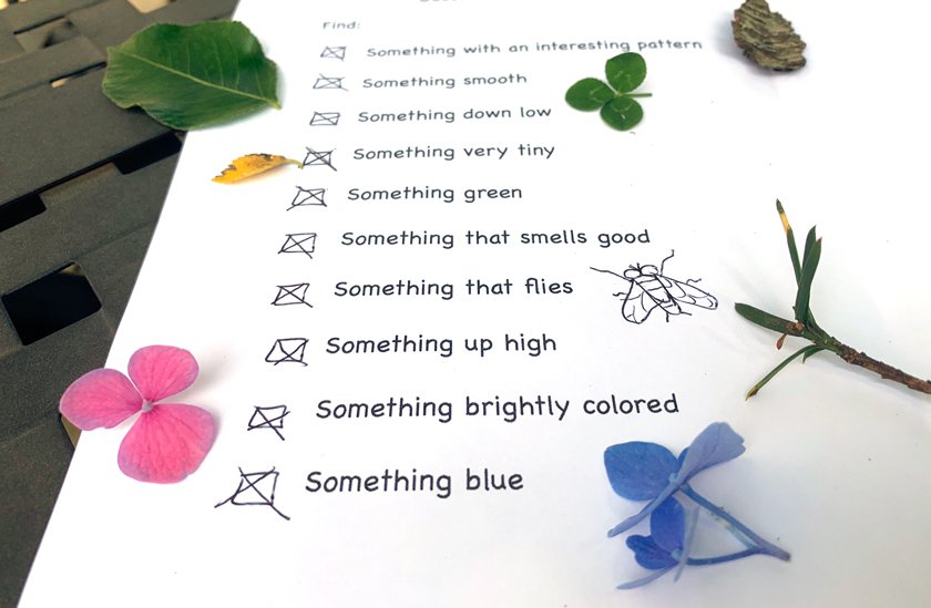Sheet of paper with list of nature items to search for on scavenger hunt.  Samples of flower petals, leaves, rock and twig rest on top of list.