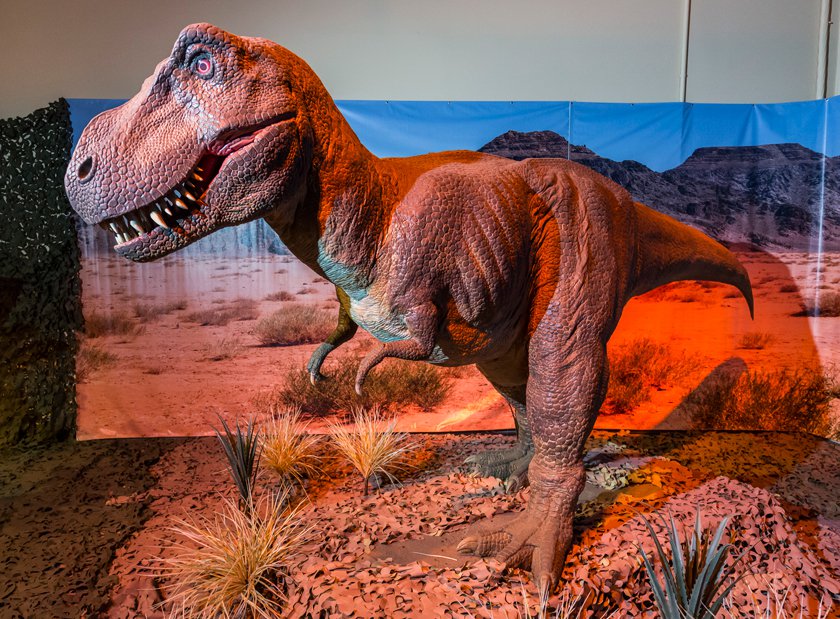 Large replica of a T.rex in a desert-like environment. 