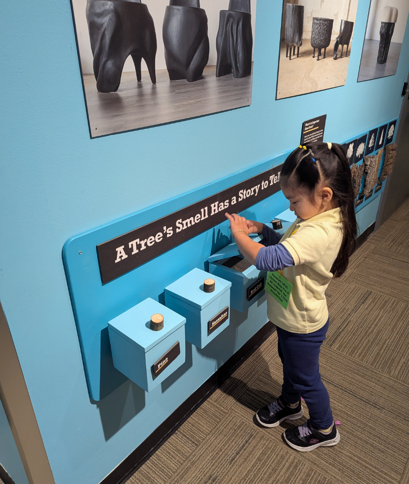 A child lifting a lid of a box to smell a wood scent with images of wooden sculptures above. 