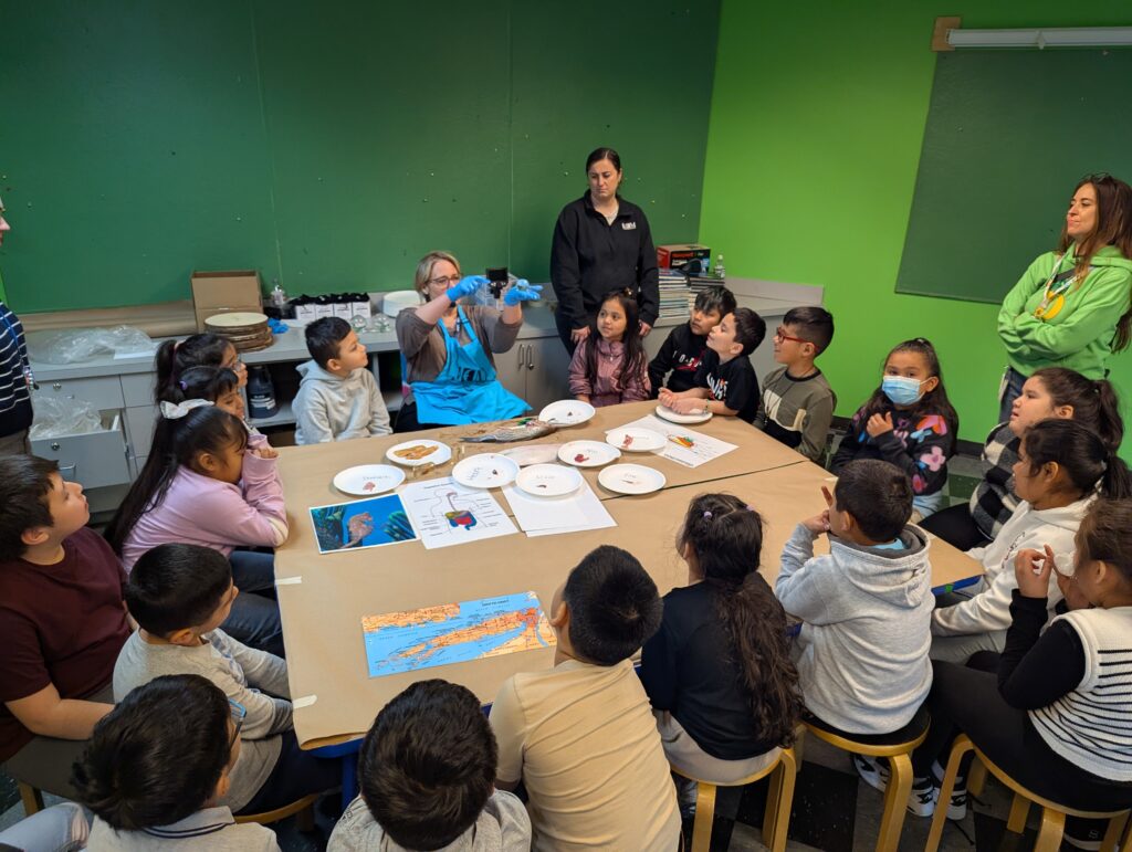 Students and teacher in Museum studio making a project.