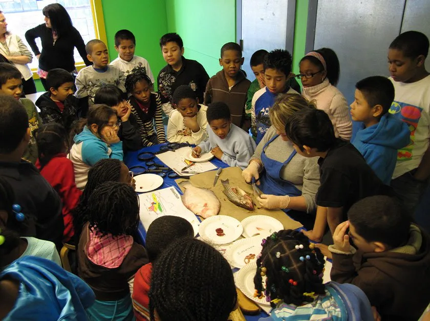 Students watching an LICM educator dissect a fish.