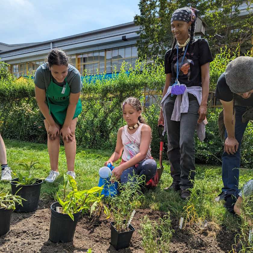 Volunteer and families planting a native garden bed