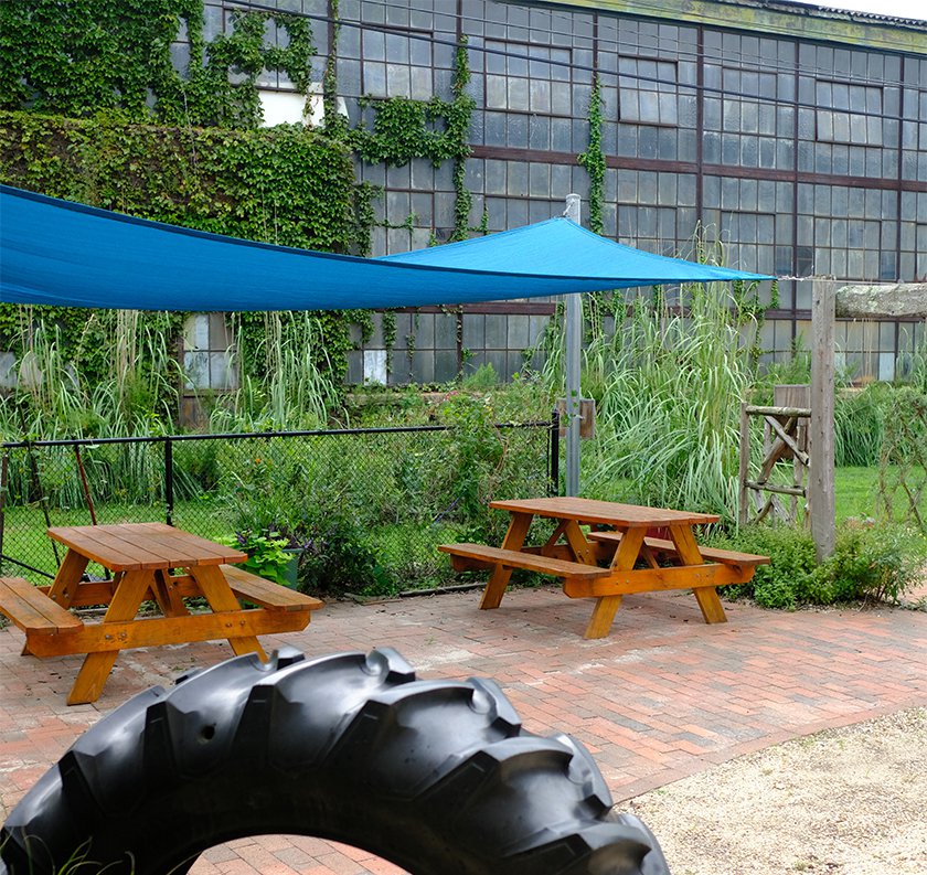 Two picnic tables with a blue tarp overhead covering with plants and grass in the background in Our Backyard at LICM.