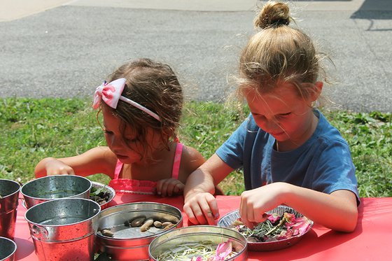 Two girls sort natural materials into buckets at an outdoor nature program.
