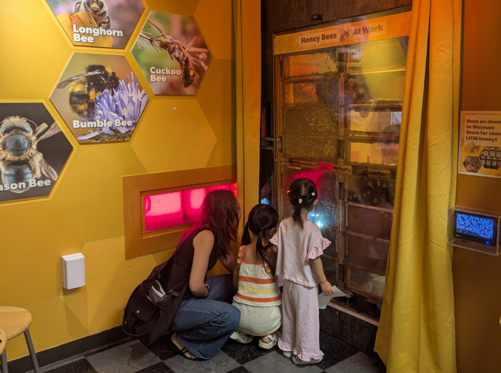 Adult and two girls look at LICM's observation beehive