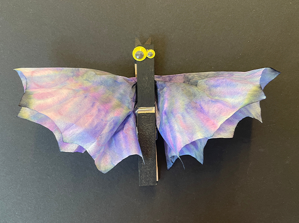 A bat made from a black clothes pin as a body, googly eyes, and dyed tissue paper for wings.