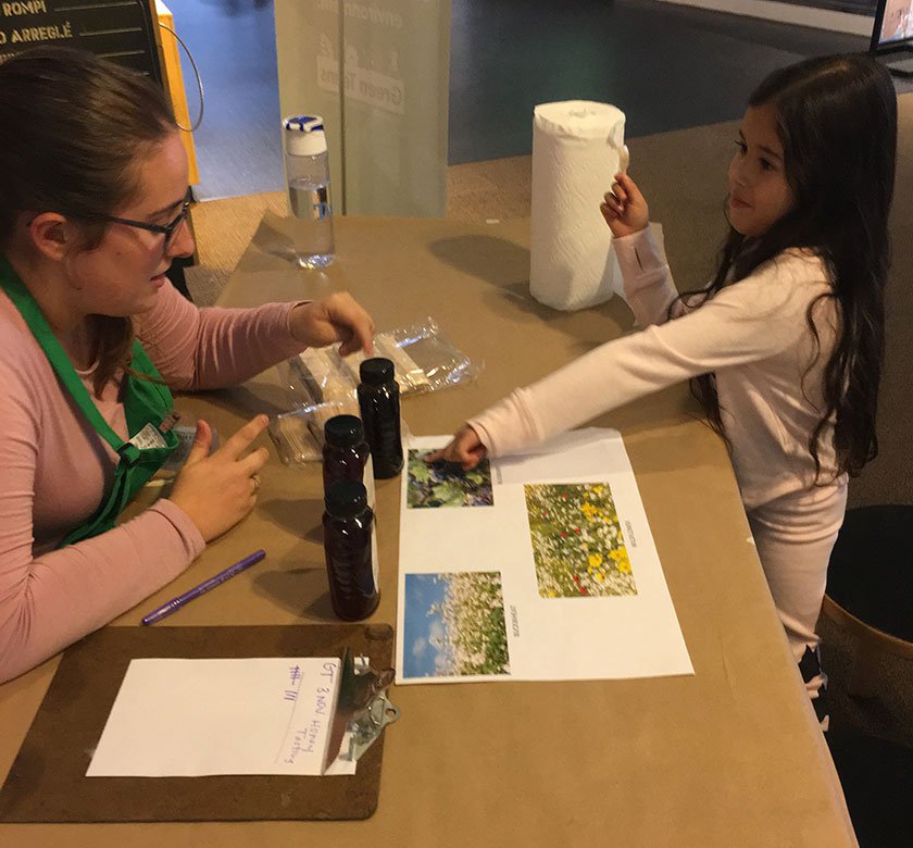 An LICM staff member teaching a child about flowers at a table