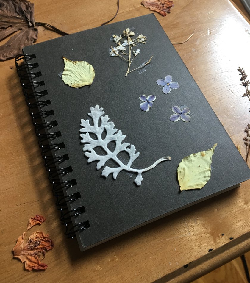 Black spiral notebook with pressed leaves and plants on the cover.
